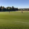 Vedeta Internetului Nader Jindaoui semnează cu un club din Bundesliga, dar va juca la echipa U23