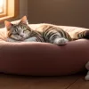 Misterul dezvăluit: De ce majoritatea pisicilor dorm pe partea stângă?