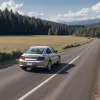 Accident în Germania: Șofer de 75 de ani a pierdut controlul mașinii din cauza unei urgențe medicale și a lovit parapetul