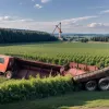 Tractor răsturnat în Germania: Șofer de 16 ani rănit, pagube de 70.000 euro