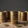 Germania țintește miliarde de euro din conturile bancare uitate: în ce scopuri sociale vor fi folosiți banii?