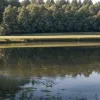 Bărbatul dispărut din ianuarie din Baden-Baden, găsit ucis într-un iaz la 40 km distanță