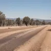 Val de căldură extremă în Europa: asfaltul se topește în Italia, un turist a murit în Spania