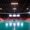 Handbal Liga Campionilor EHF: Füchse Berlin – HBC Nantes în semifinalele Final Four. Unde puteți urmări meciul?