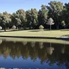 Farsă cu aligator: Un oraș din Germania, alertat de un video fals, a căutat o reptilă inexistentă în Vechta