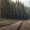 Un lituanian prins în Dortmund furând cablu Deutsche Bahn: Avea și droguri asupra lui