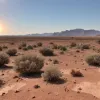 Val de căldură extremă lovește Europa: Temperaturi de peste 40°C și posibile recorduri istorice