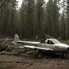 Accident aviatic în Germania: Un avion mic s-a prăbușit lângă Peine, pilotul a decedat