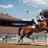 Derby-ul de la Hamburg: André Thieme câștigă după descalificarea neașteptată a adversarului