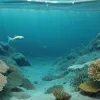 Codul din Marea Baltică "s-a micșorat": supraexploatarea și schimbările climatice au cauzat o evoluție indusă de om