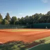Roland Garros: Altmaier, eliminat în optimi de Frances Tiafoe