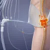 Experții avertizează: De ce nu ar trebui să mergi la toaletă "pentru siguranță"