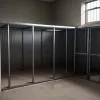 Câini bolnavi furați dintr-un adăpost din Germania: Poliția și angajații cer ajutor