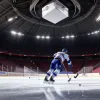 Jucătorul german Maxim Schäfer (17 ani), selectat în Draftul NHL de Washington Capitals