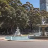 Cacadu inteligenți din Sydney au învățat să deschidă fântânile publice