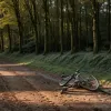 Incident șocant în Germania: Un ciclist de 63 de ani, lovit de un mistreț pe un drum de țară