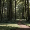 Poliția din Speyer a prins un câine speriat într-o pădure