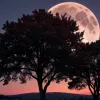 Lună Căpșună: Spectacolul astronomic ajunge la final în această seară