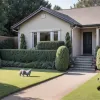 Protest bizar în Germania: Vecini furioși pe pisică au expus 20 de excremente feline în grădină