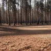 Germania, sub cod portocaliu de caniculă: Temperaturi până la +37°C și risc crescut de incendii de pădure