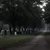 Furturi din cimitire în Ludwigshafen: Hoții au furat decorațiuni de pe morminte în valoare de 1100 de euro