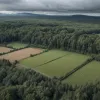 Primul caz de Pestă Porcină Africană confirmat în Renania de Nord-Westfalia, Germania