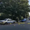 Poliția a împușcat un câine după un atac violent asupra unui bărbat în Germania