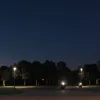 Zirndorf, Germania: Bărbat arestat după ce a amenințat un cunoscut cu pistolul în parc
