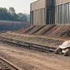 Țestoasa "Sichel", dată dispărută, găsită pe șantierul căilor ferate germane