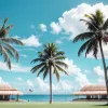 Miracolul din Sri Lanka: Jucătorul de la Dynamo Dresda, Claudio Kammerknecht, luptă pentru calificarea la Cupa Asiei cu naționala "pitică"