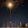 Coafura iluzionistului Andreas Ehrlich a luat foc la repetiția show-ului din Dortmund