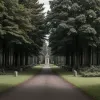 Descoperire șocantă în Germania: O femeie și un copil, găsiți morți într-un cimitir din Dorsten