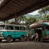 Prânz neașteptat în Brazilia: Când "drive-in" este luat la propriu