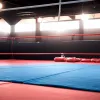 Leon Harth a câștigat centura WBA Continental și se apropie de a treia șansă la titlul mondial
