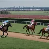 Curse de Cai la Hamburg: Thore Hammer-Hansen Câștigă la Deschidere Meeting-ului Derby