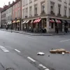 Tânăr de 22 de ani arestat la Speyer după ce a amenințat un angajat al unei brutării în timpul unui festival