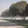 Primul val de căldură lovește Germania: temperaturi de până la +34°C și incendii