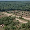 Peste 100 de morți într-un atac armat asupra unui sat din Nigeria