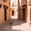 Tragedie după vacanța în Maroc: Turistă britanică moare de rabie din cauza unei zgârieturi de cățel vagabond