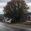 Tragedie în Germania: Fetiță de 5 ani, ucisă de un încărcător frontal condus de un șofer drogat