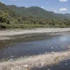 Catastrofă ecologică în Germania: Mii de pești au murit după poluarea râurilor cu îngrășăminte