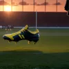 Jobe Bellingham impresionează la Borussia Dortmund: Ce spun starurile BVB despre caracterul său