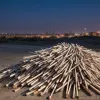 Captură impresionantă la frontiera germană: Peste 36.000 de artificii ilegale, confiscate de la cetățeni olandezi