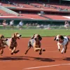 Incredibil: Un teckel numit Fiete a devenit cel mai rapid câine din rasa lui din Germania