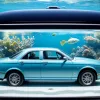 Mașina-acvariu, surpriza unei stațiuni: Vehiculul neobișnuit a devenit viral online