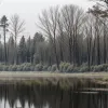 Germania: Bărbat dispărut din ianuarie, găsit ucis într-un iaz din Baden-Württemberg