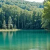 Verificarea lacurilor de scăldat în Germania: Unde apa este excelentă și unde este interzis înotul