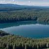 Alertă în Saxonia-Anhalt: Căutări intense pentru o pumă lângă lacul Geiseltal, autoritățile avertizează populația