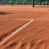Zverev, în sferturile de finală la Roland Garros după abandonul adversarului Griekspoor