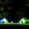 Poliția din Germania a oprit o petrecere rave ilegală în pădure